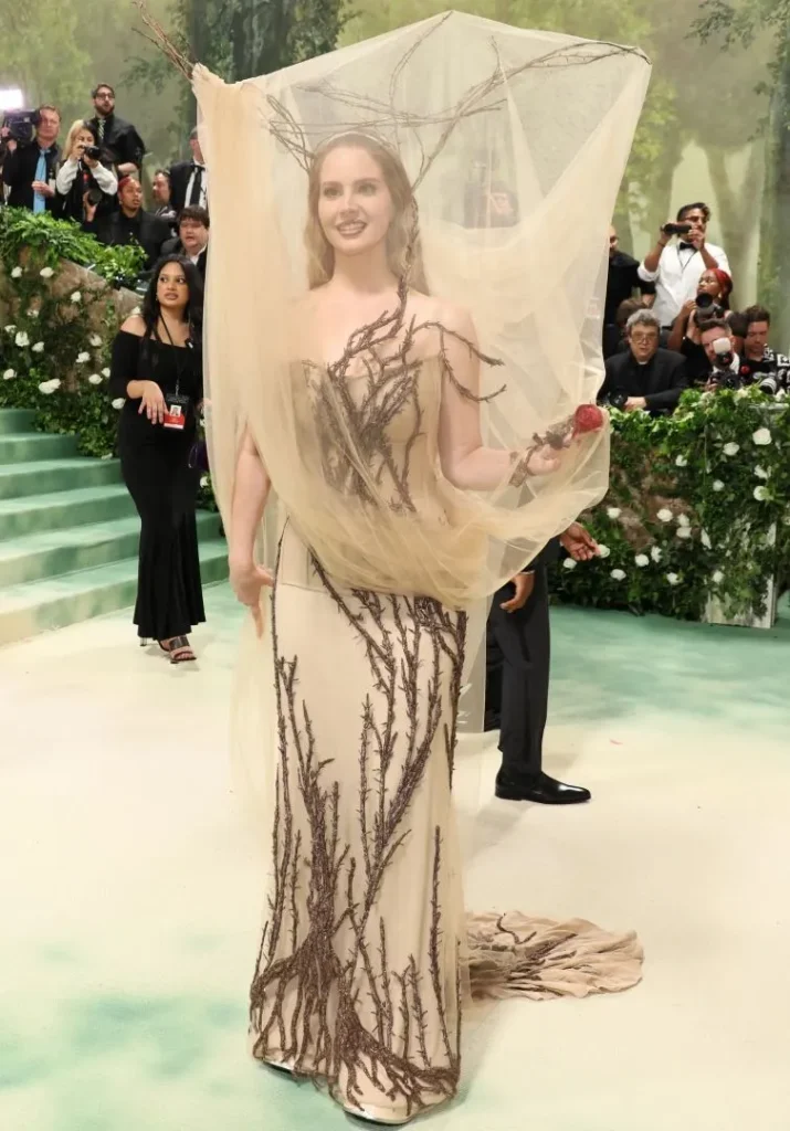 Best dressed met gala