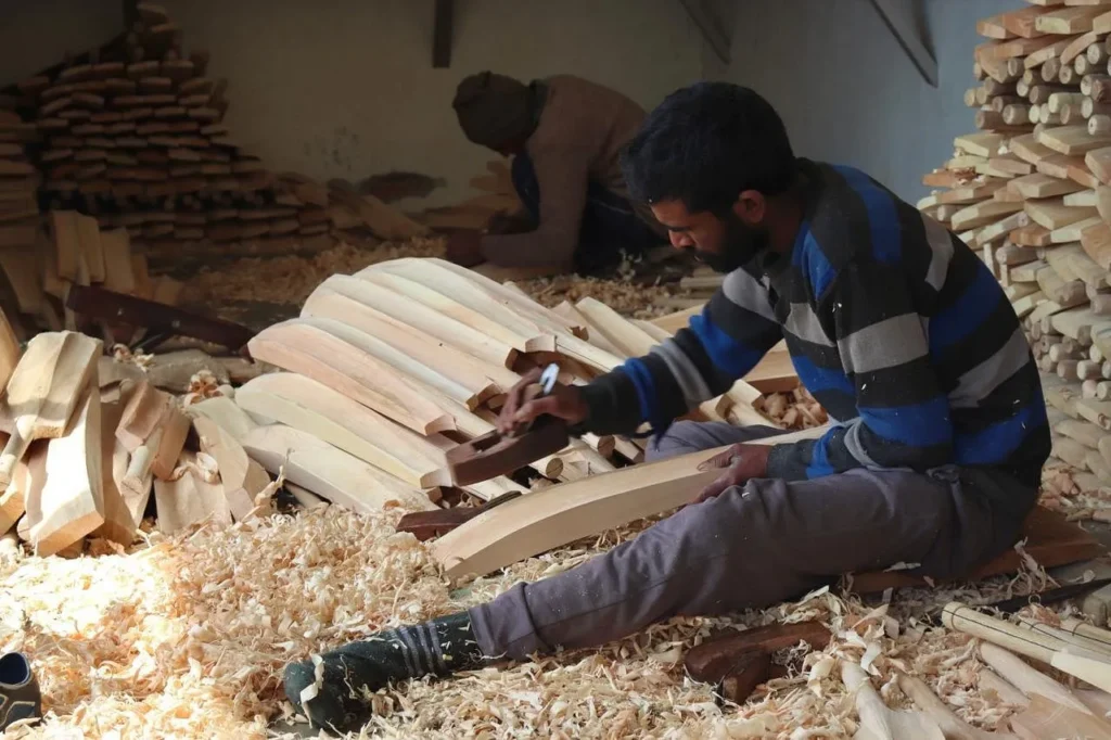 Kashmiri willow cricket bat