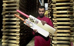 Kashmiri willow cricket bat