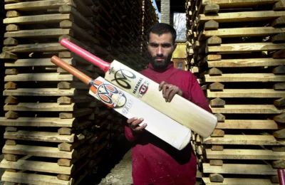 India-Kashmir: The Rich Tradition of Willow Bat Making Revealed