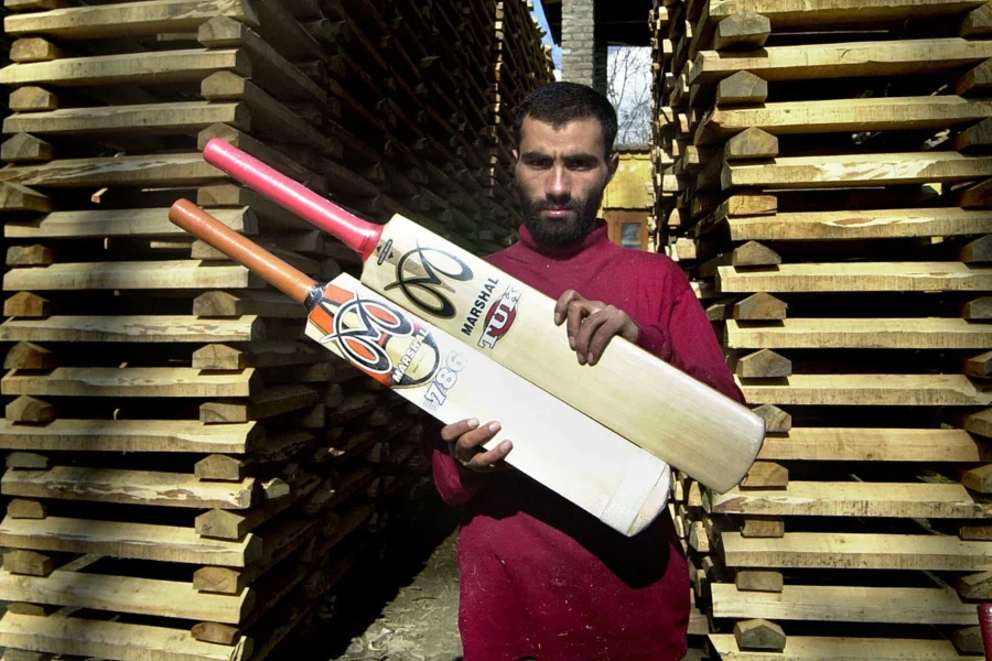 India-Kashmir: The Rich Tradition of Willow Bat Making Revealed